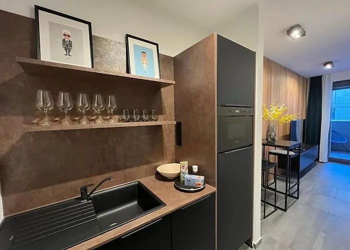 Appartement 2budapest Eye-freegym And Sauna Luxury Budapest